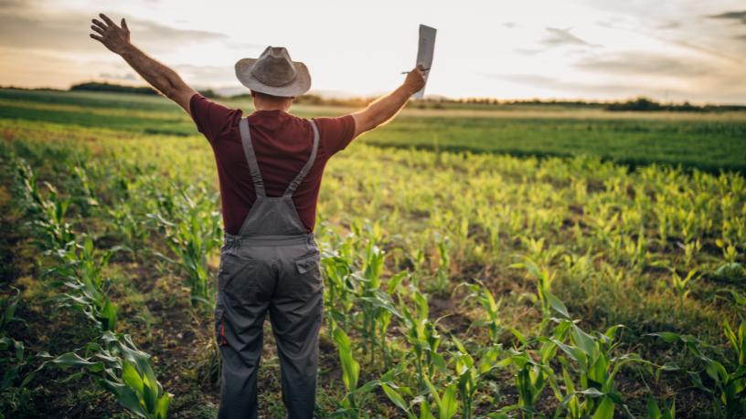 Agropecuária Grama Roxa Ltda