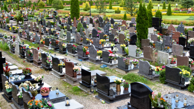 O uso de dados no setor funerário pode sustentar uma estratégia de crescimento sustentável, explica Tiago Schietti.