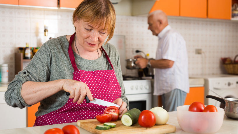 Sindnapi - Sindicato Nacional dos Aposentados, Pensionistas e Idosos