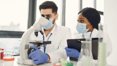 Pesquisadores analisam amostras ao microscópio e fazem anotações em um laboratório moderno.
