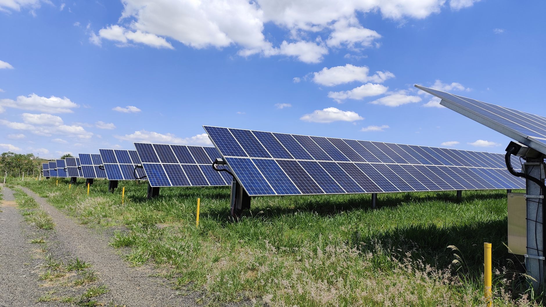 Fileiras de painéis solares em um campo sob céu azul, em Uberlândia (MG).